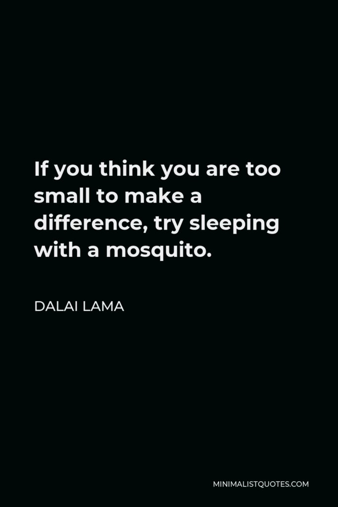 Dalai Lama Quote - If you think you are too small to make a difference, try sleeping with a mosquito.