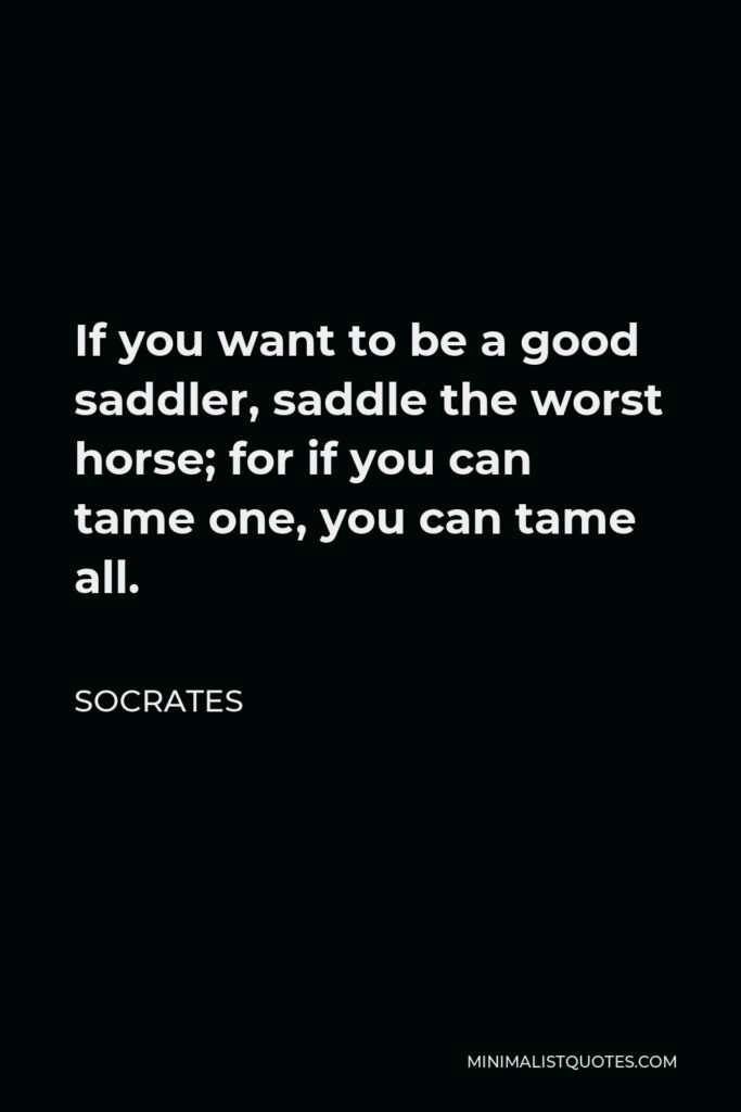 Socrates Quote - If you want to be a good saddler, saddle the worst horse; for if you can tame one, you can tame all.