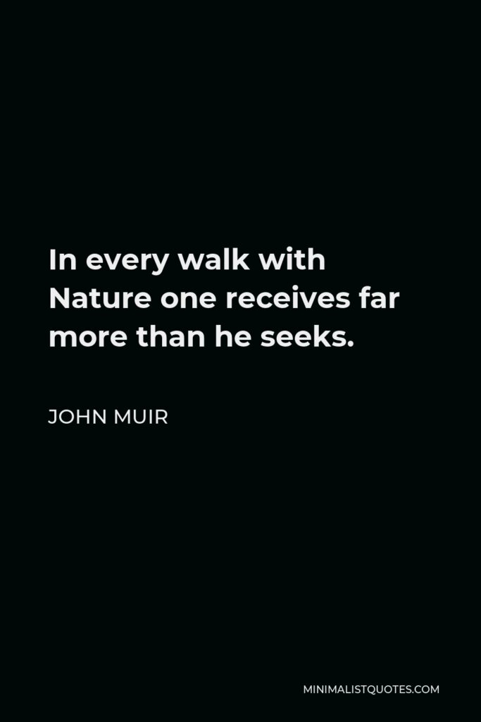 John Muir Quote - In every walk with Nature one receives far more than he seeks.