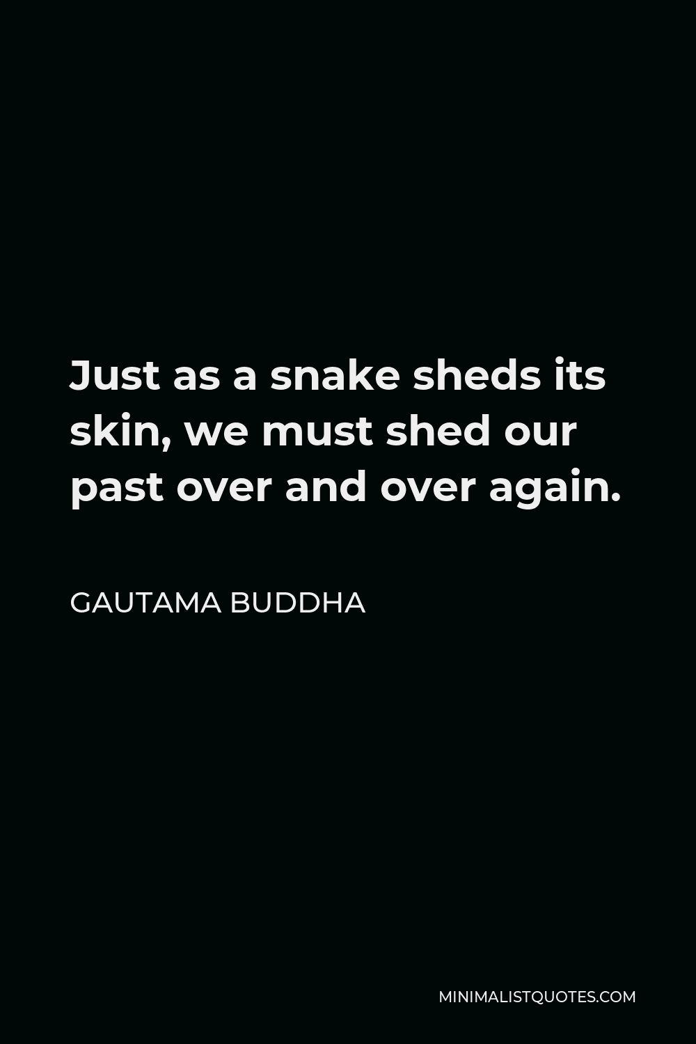Gautama Buddha Quote - Just as a snake sheds its skin, we must shed our past over and over again.