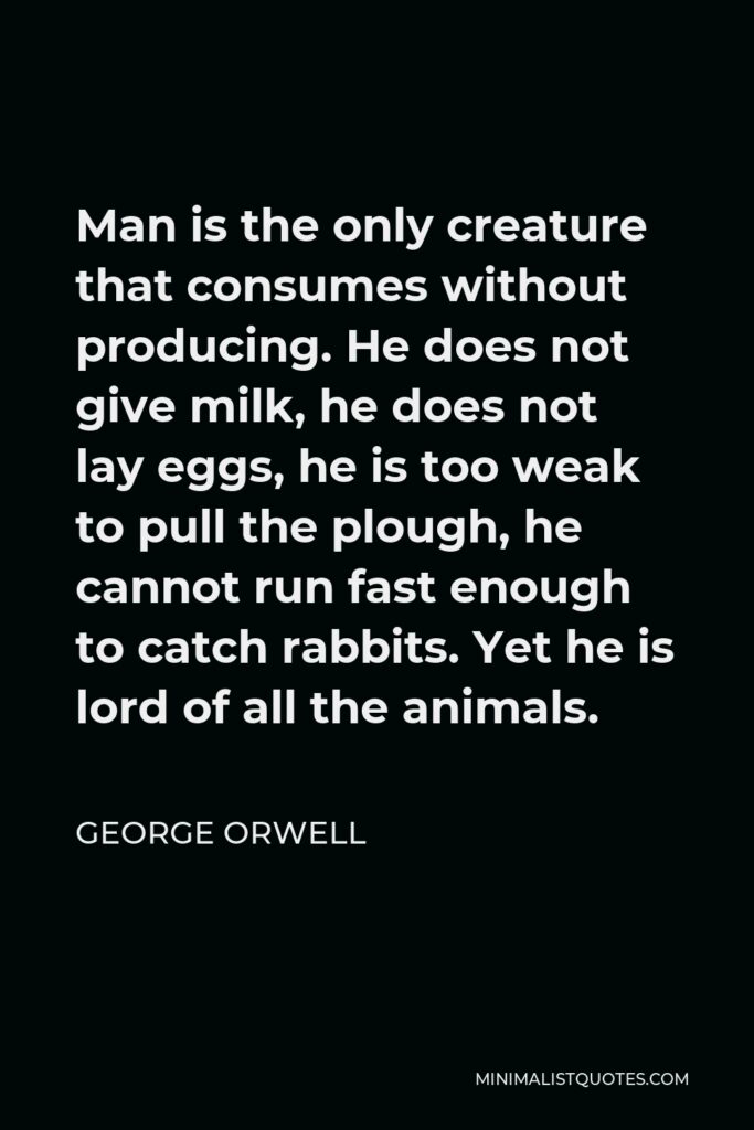 George Orwell Quote - Man is the only creature that consumes without producing. He does not give milk, he does not lay eggs, he is too weak to pull the plough, he cannot run fast enough to catch rabbits. Yet he is lord of all the animals.