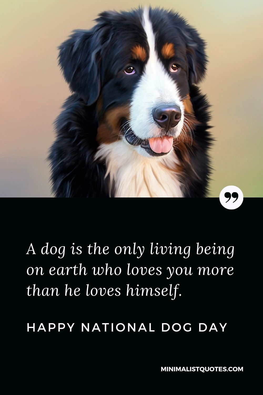 National Dog Day Quote, Wish & Message With Image: A dog is the only living being on earth who loves you more than he loves himself. Happy National Dog Day!