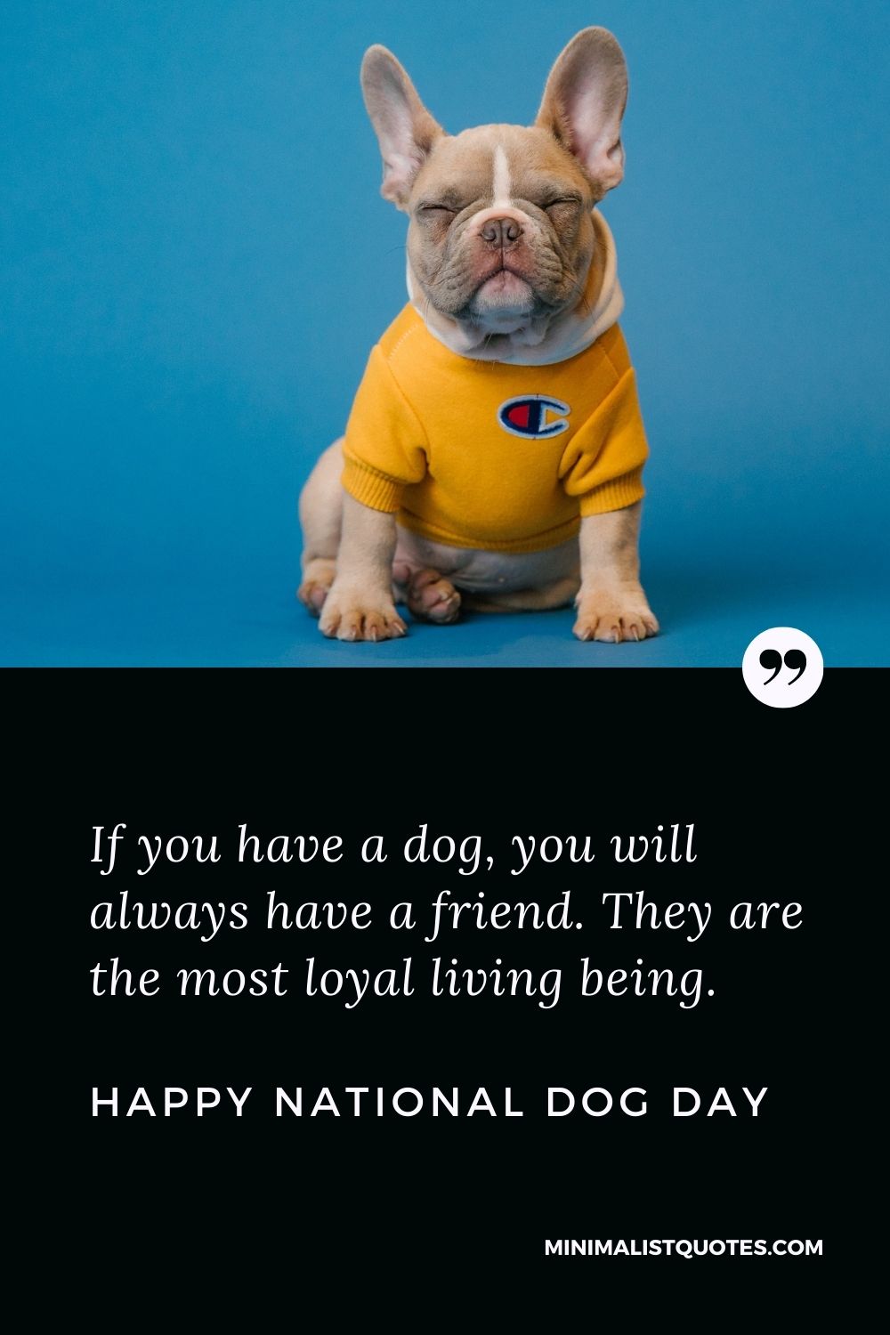 International Dog Day Quotes, Wishes & Messages