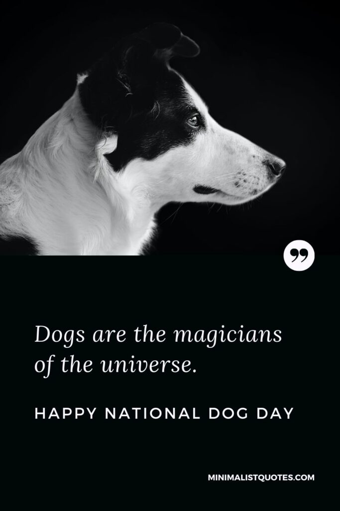 National Dog Day Quote, Wish & Message With Image: Dogs are the magicians of the universe. Happy National Dog Day!