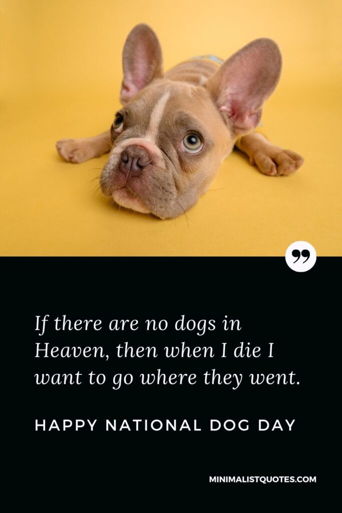 International Dog Day Wish, Quote & Message With Image: If there are no dogs in Heaven, then when I die I want to go where they went. Happy Dog Day!