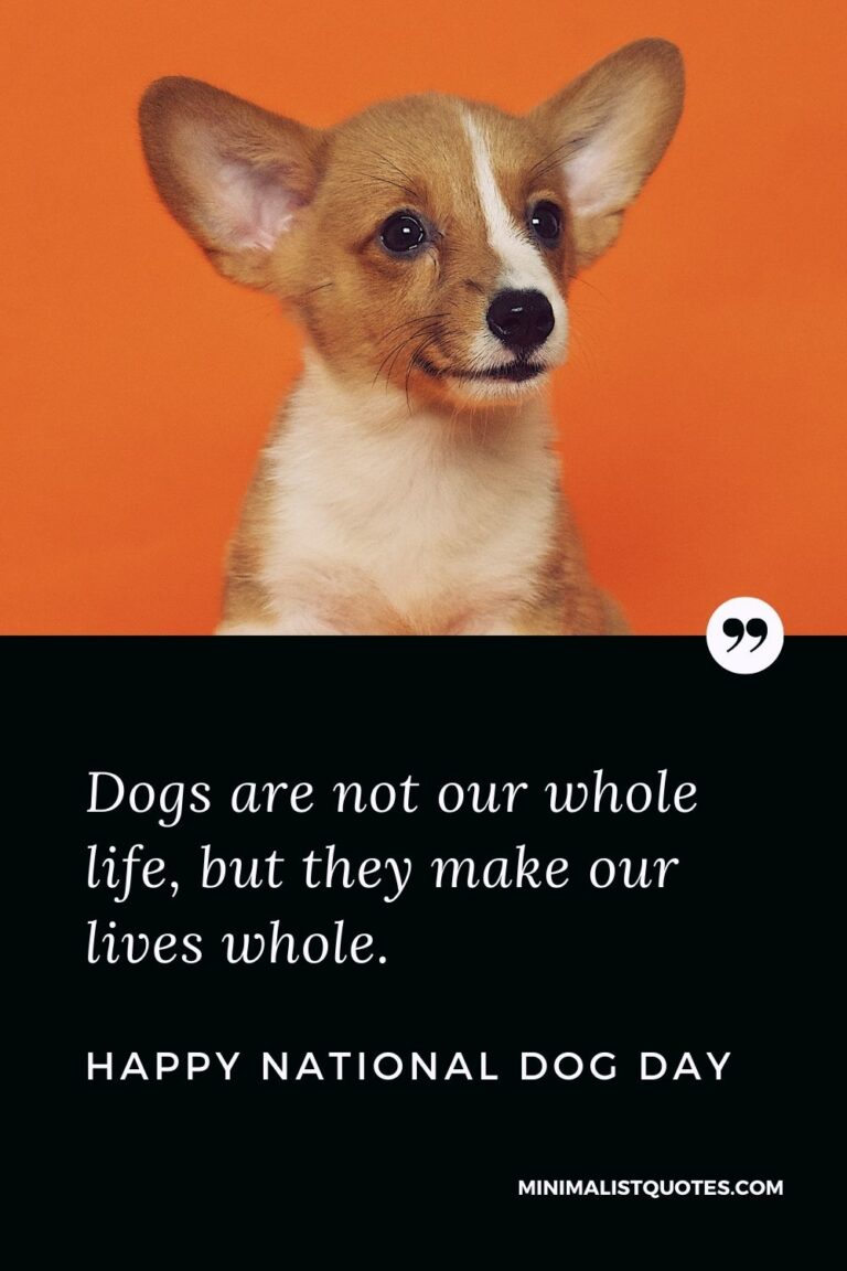 International Dog Day Quotes, Wishes & Messages