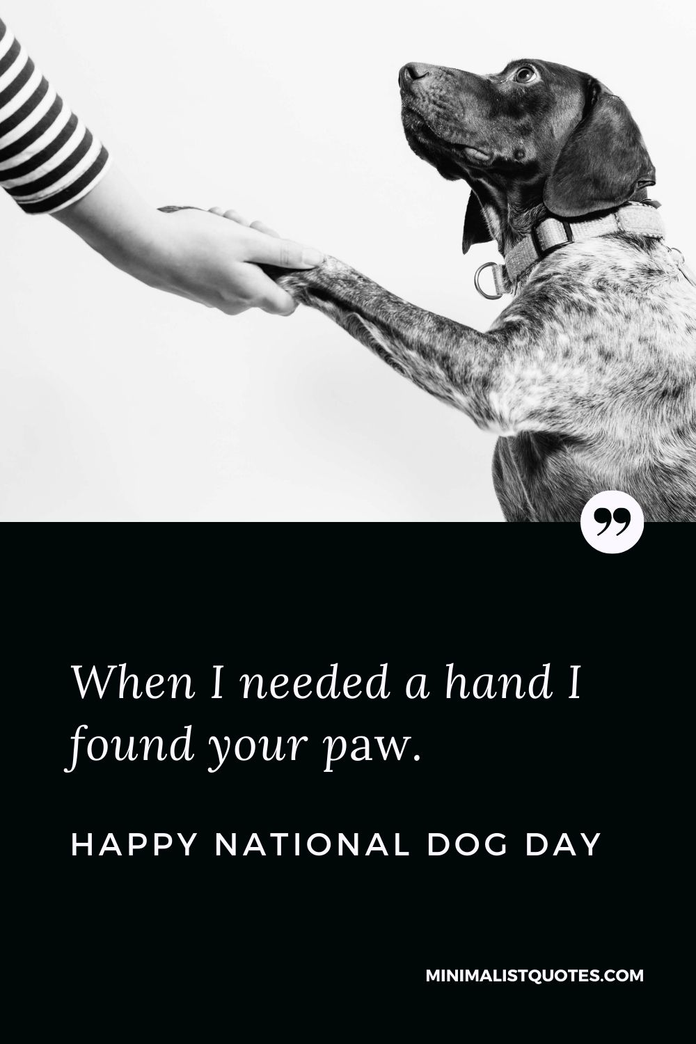 National Dog Day Quote, Message & Wish With Image: When I needed a hand I found your paw. Happy National Dog Day!