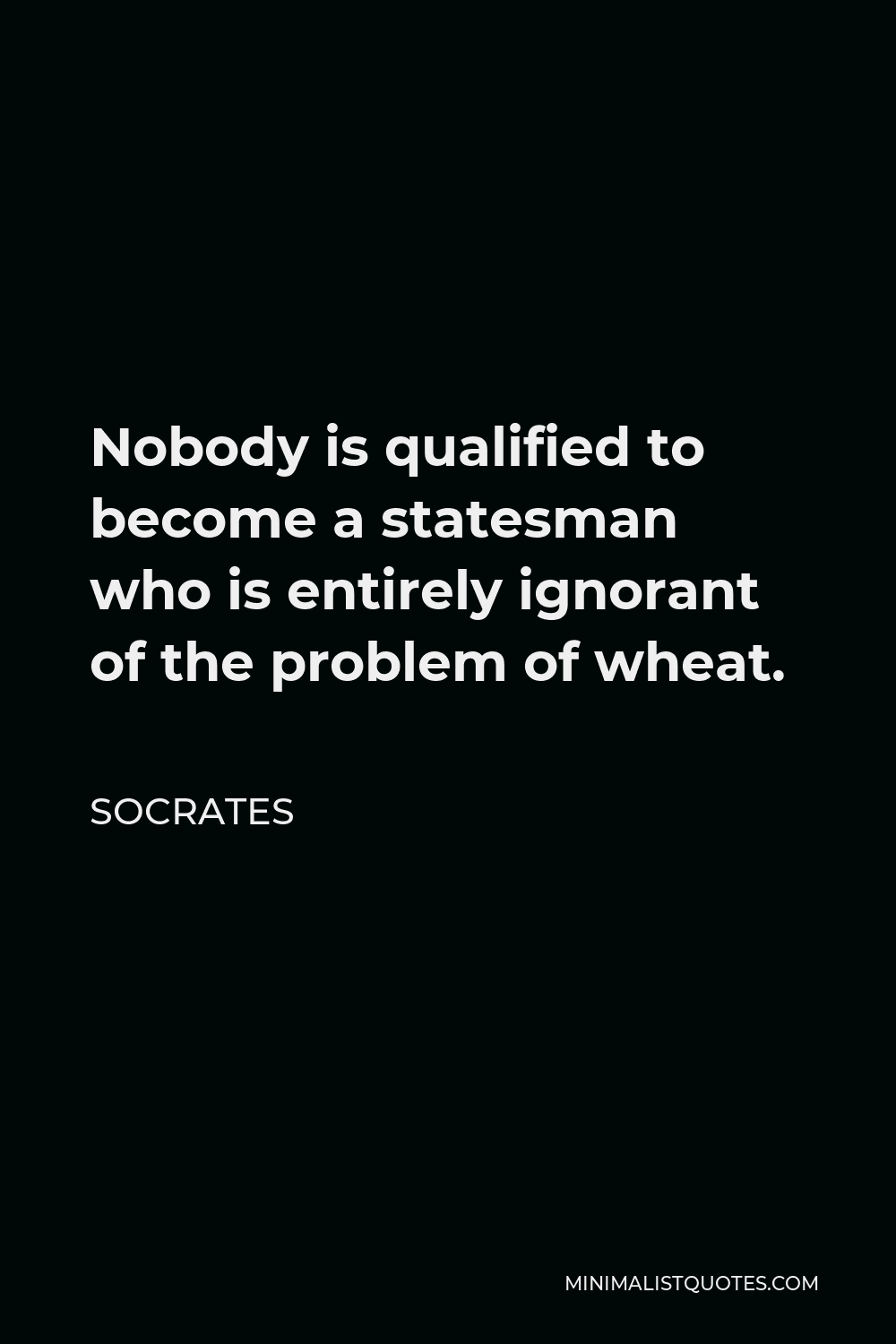 Socrates Quote - Nobody is qualified to become a statesman who is entirely ignorant of the problem of wheat.