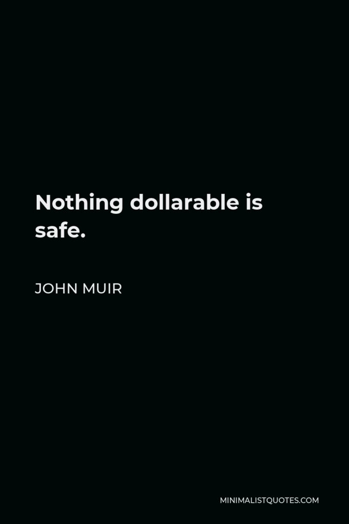 John Muir Quote - Nothing dollarable is safe.