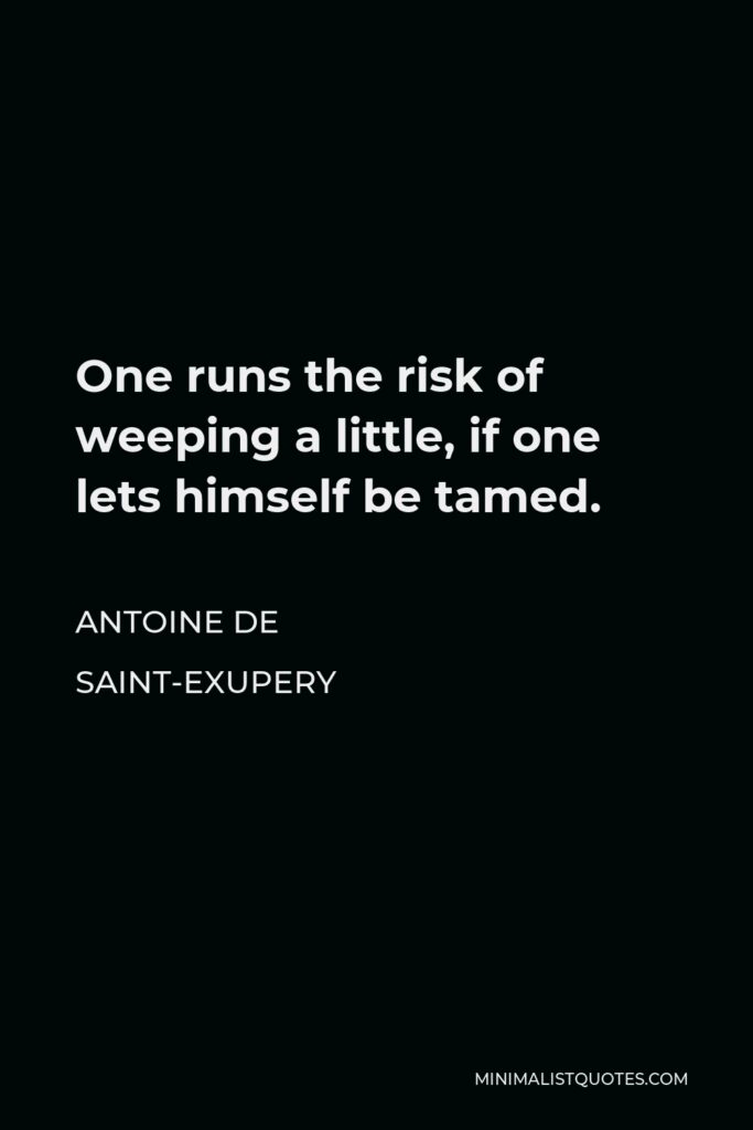 Antoine de Saint-Exupery Quote - One runs the risk of weeping a little, if one lets himself be tamed.