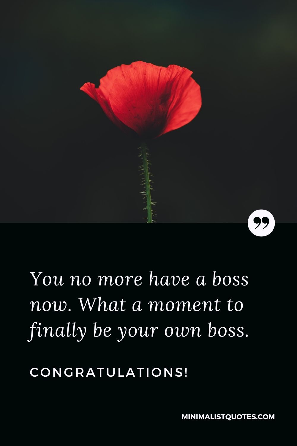 Retirement Wish, Quote & Message with Image: You no more have a boss now. What a moment to finally be your own boss. Congratulations!