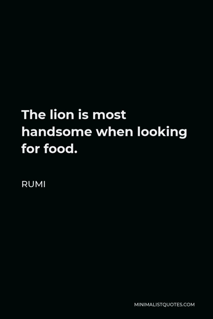 Rumi Quote - The lion is most handsome when looking for food.