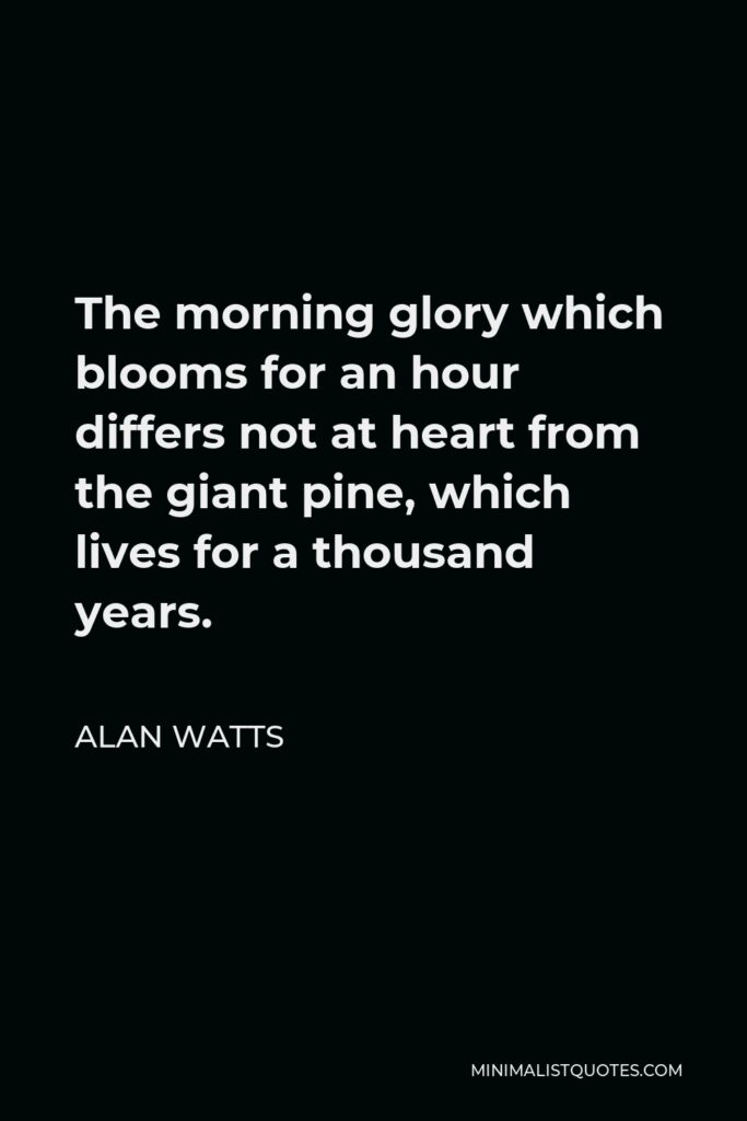 Alan Watts Quote - The morning glory which blooms for an hour differs not at heart from the giant pine, which lives for a thousand years.