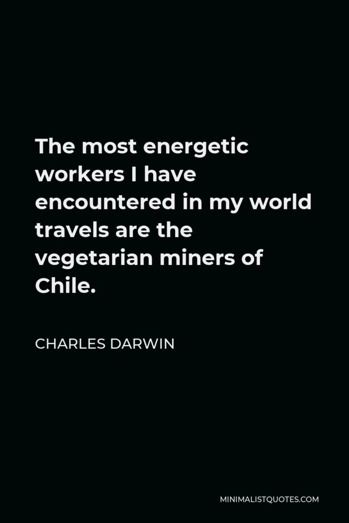 Charles Darwin Quote - The most energetic workers I have encountered in my world travels are the vegetarian miners of Chile.