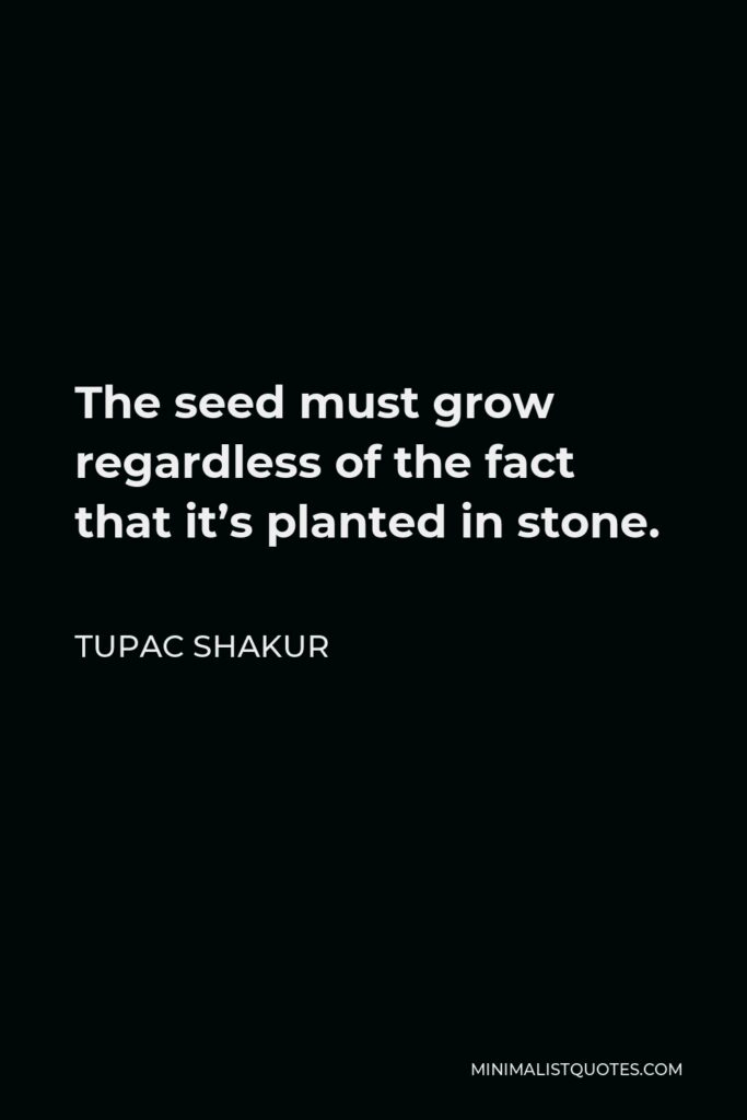 Tupac Shakur Quote - The seed must grow regardless of the fact that it’s planted in stone.