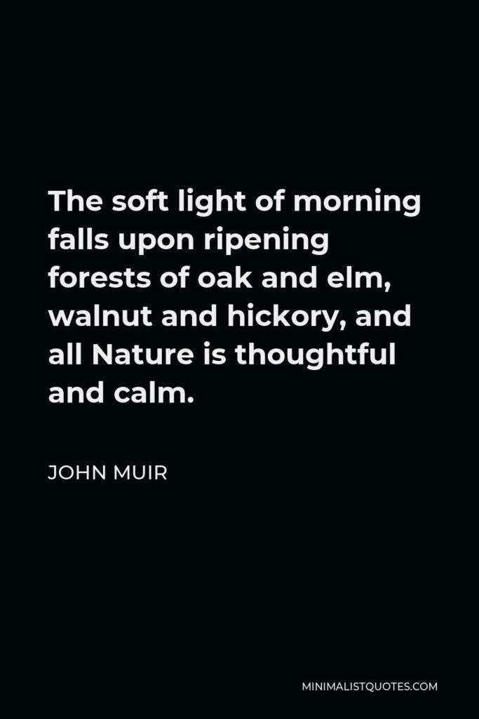 John Muir Quote - The soft light of morning falls upon ripening forests of oak and elm, walnut and hickory, and all Nature is thoughtful and calm.