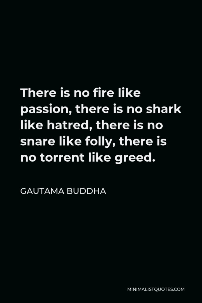Gautama Buddha Quote - There is no fire like passion, there is no shark like hatred, there is no snare like folly, there is no torrent like greed.