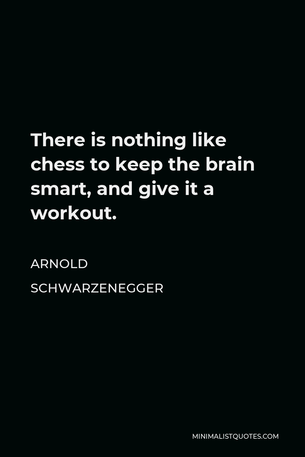 Arnold Schwarzenegger Quote - There is nothing like chess to keep the brain smart, and give it a workout.