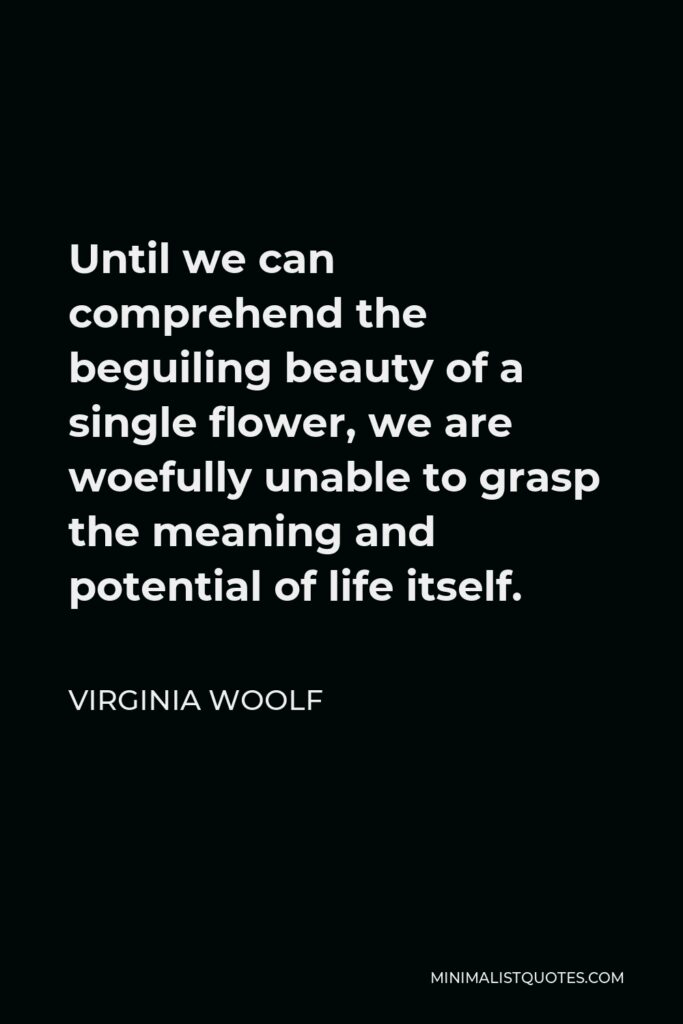 Virginia Woolf Quote - Until we can comprehend the beguiling beauty of a single flower, we are woefully unable to grasp the meaning and potential of life itself.