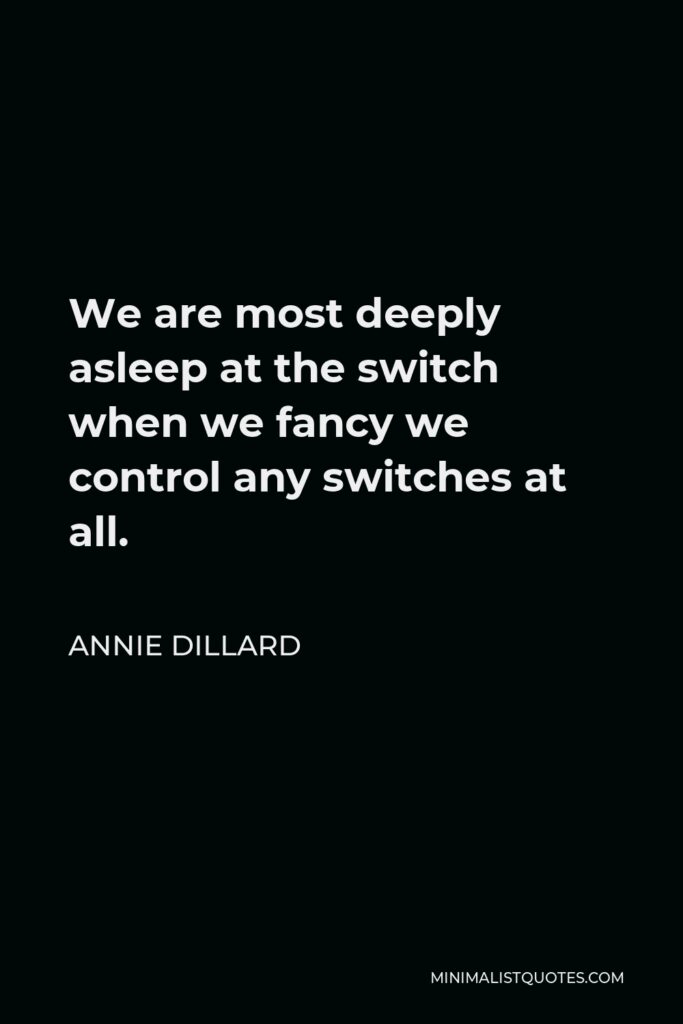 Annie Dillard Quote - We are most deeply asleep at the switch when we fancy we control any switches at all.