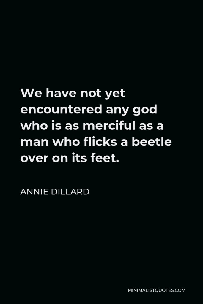Annie Dillard Quote - We have not yet encountered any god who is as merciful as a man who flicks a beetle over on its feet.