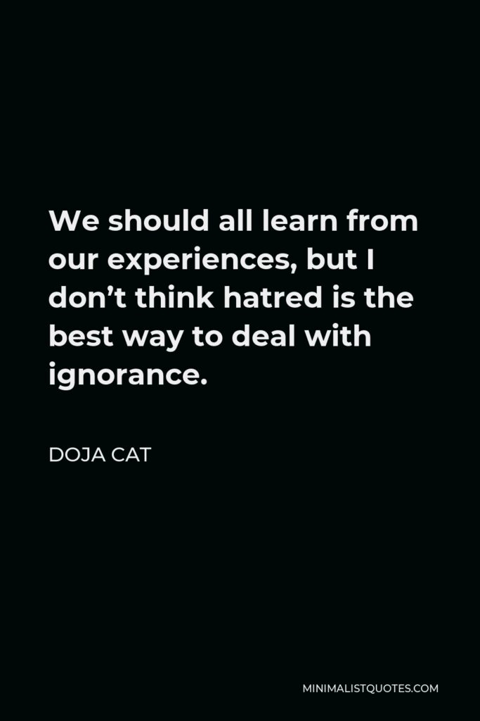 Doja Cat Quote - We should all learn from our experiences, but I don’t think hatred is the best way to deal with ignorance.