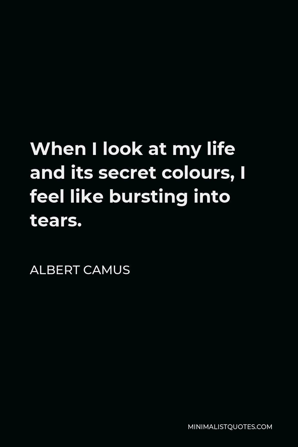 Albert Camus Quote - When I look at my life and its secret colours, I feel like bursting into tears.