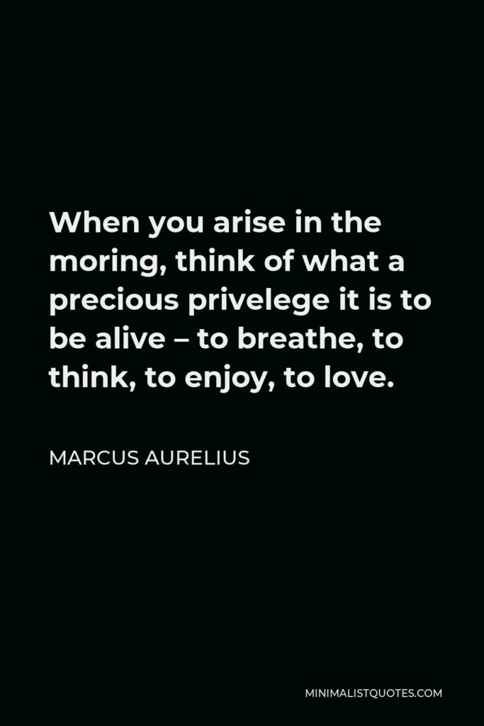 Marcus Aurelius Quote - When you arise in the moring, think of what a precious privelege it is to be alive – to breathe, to think, to enjoy, to love.