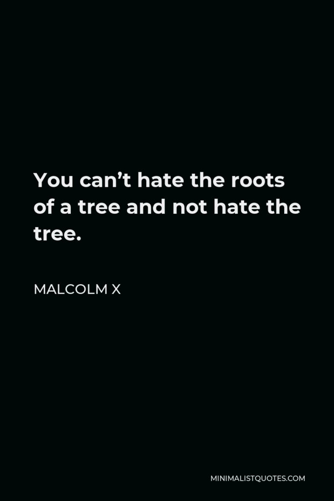 Malcolm X Quote - You can’t hate the roots of a tree and not hate the tree.