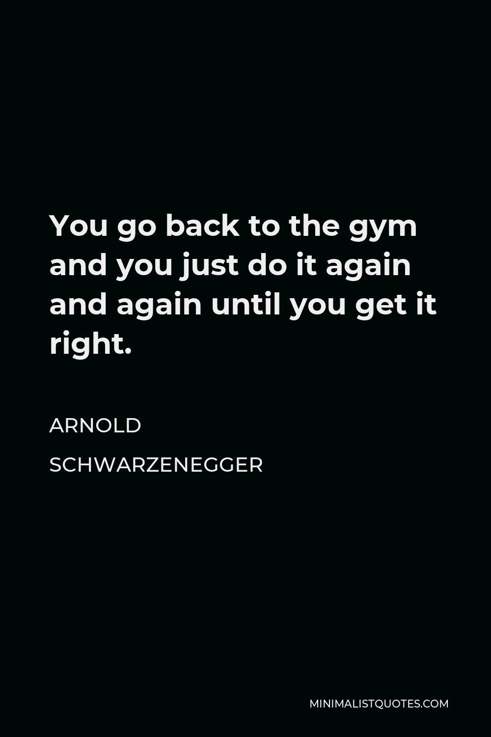 Arnold Schwarzenegger Quote - You go back to the gym and you just do it again and again until you get it right.