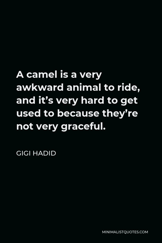 Gigi Hadid Quote - A camel is a very awkward animal to ride, and it’s very hard to get used to because they’re not very graceful.