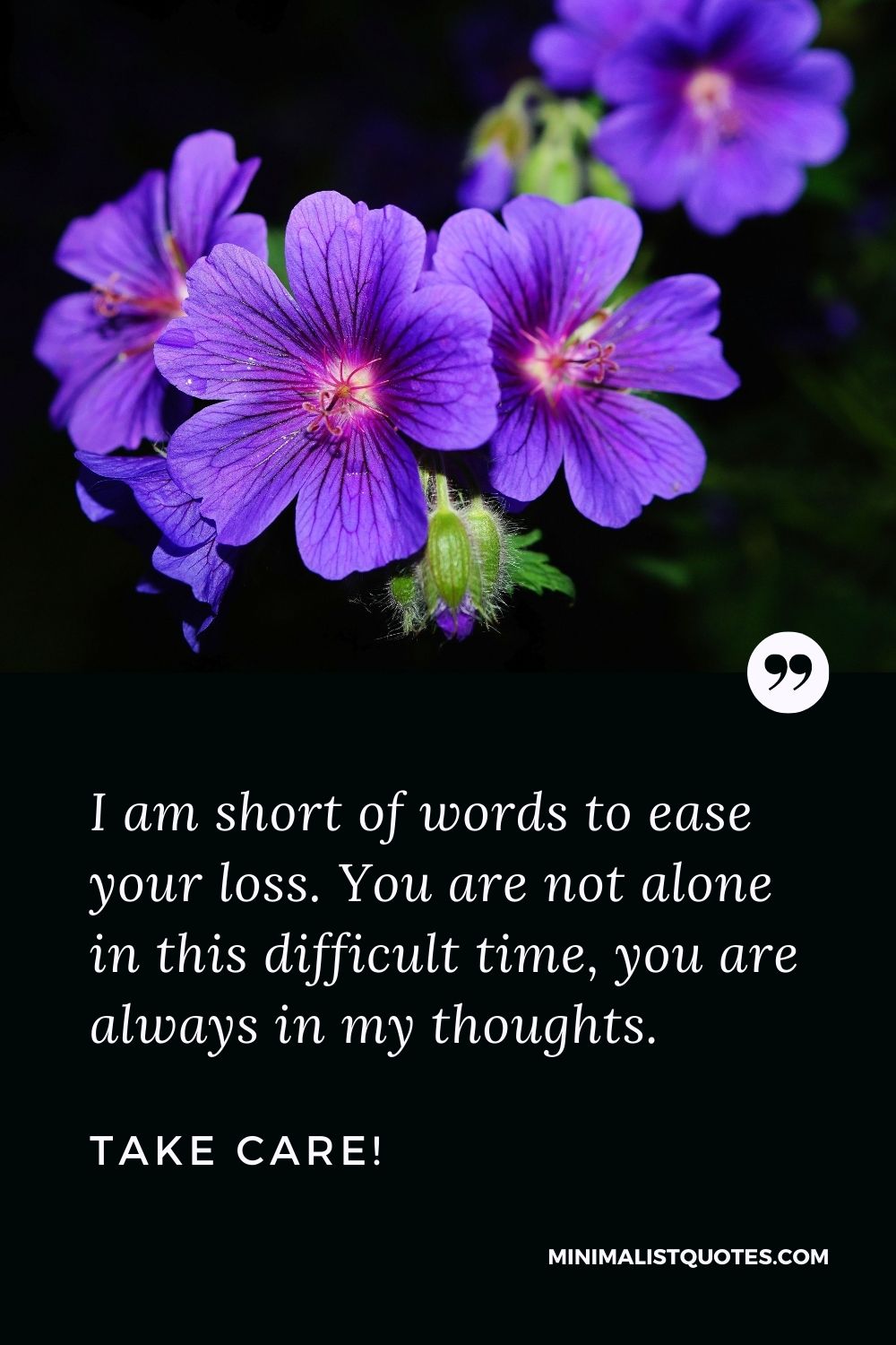 Divorce Quote, Sympathy & Message With Image: I am short of words to ease your loss. You are not alone in this difficult time, you are always in my thoughts. Take Care!