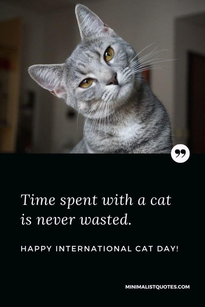 International Cat Day Quote, Wish & Message With Image: Time spent with a cat is never wasted. Happy International Cat Day!