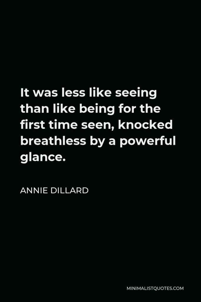 Annie Dillard Quote - It was less like seeing than like being for the first time seen, knocked breathless by a powerful glance.