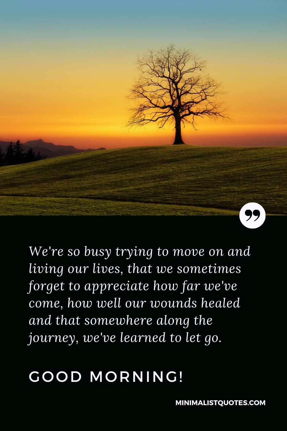 Good Morning Quote, Wish & Message With Image: We're so busy trying to move on and living our lives, that we sometimes forget to appreciate how far we've come, how well our wounds healed and that somewhere along the journey, we've learned to let go. Good Morning!