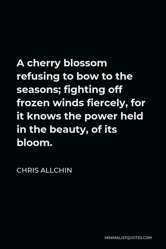 Chris Allchin Quote - A cherry blossom refusing to bow to the seasons; fighting off frozen winds fiercely, for it knows the power held in the beauty, of its bloom.