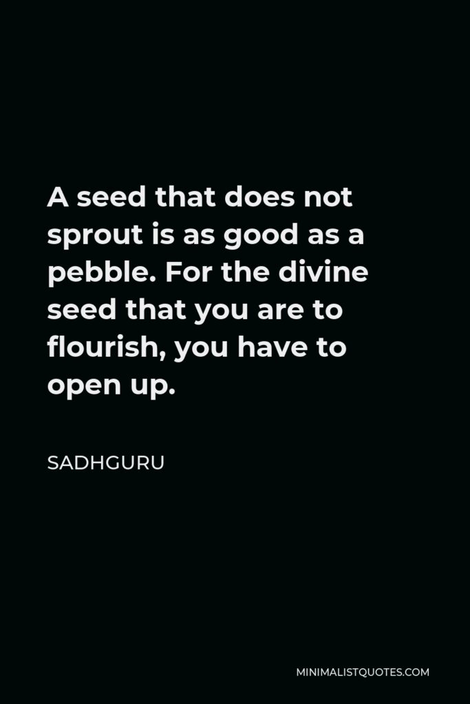 Sadhguru Quote - A seed that does not sprout is as good as a pebble. For the divine seed that you are to flourish, you have to open up.