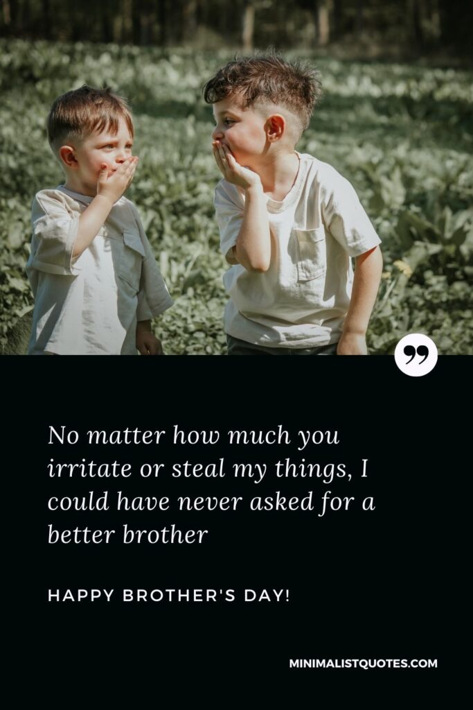 Brothers Day Quote, Wish & Message With Image: No matter how much you irritate or steal my things, I could have never asked for a better brother! Happy brothers day!