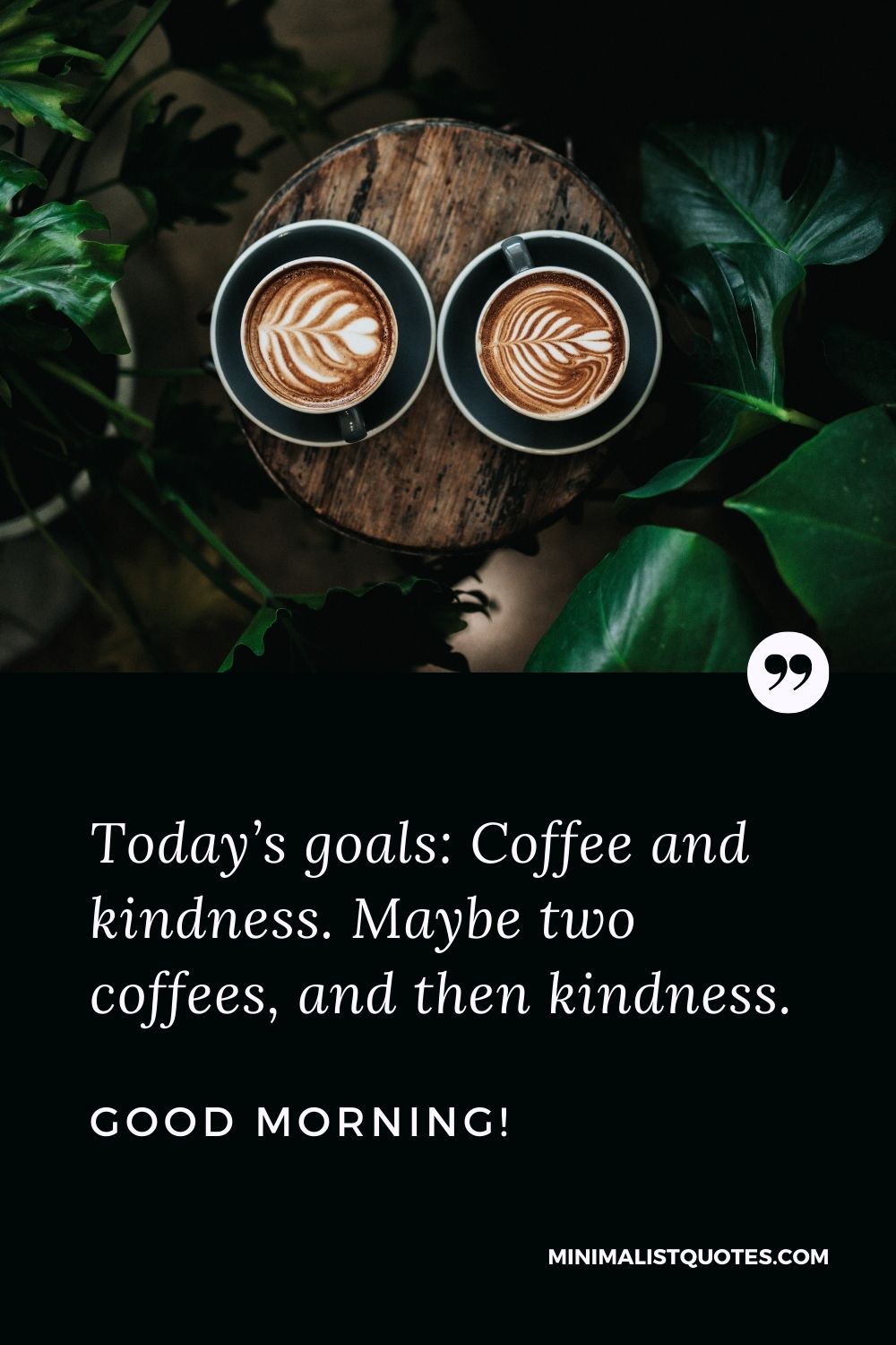 Good morning Funny quote & message: Today’s goals: Coffee and kindness. Maybe two coffees, and then kindness. Good Morning!