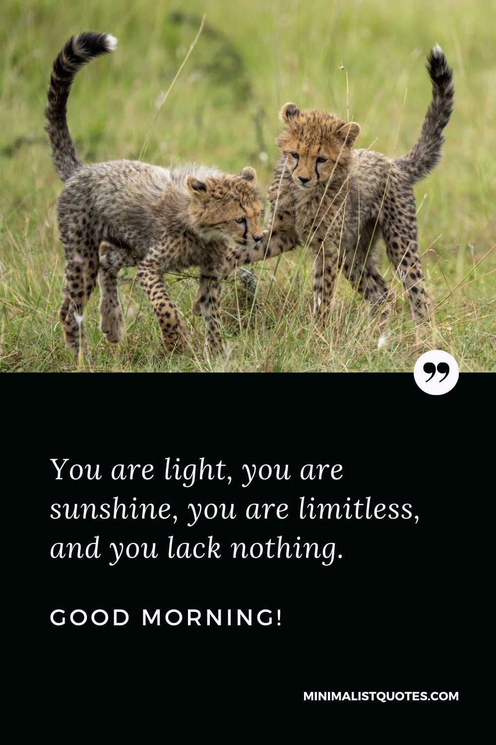 You are light, you are sunshine, you are limitless, and you lack ...