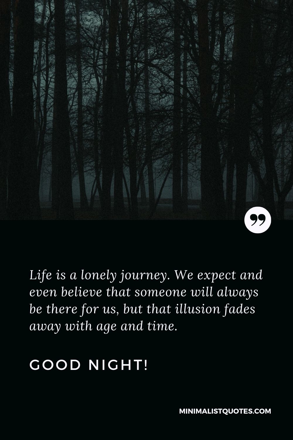 Good Night Quote, Wish & Message With Image: Life is a lonely journey. We expect and even believe that someone will always be there for us, but that illusion fades away with age and time. Good Night!