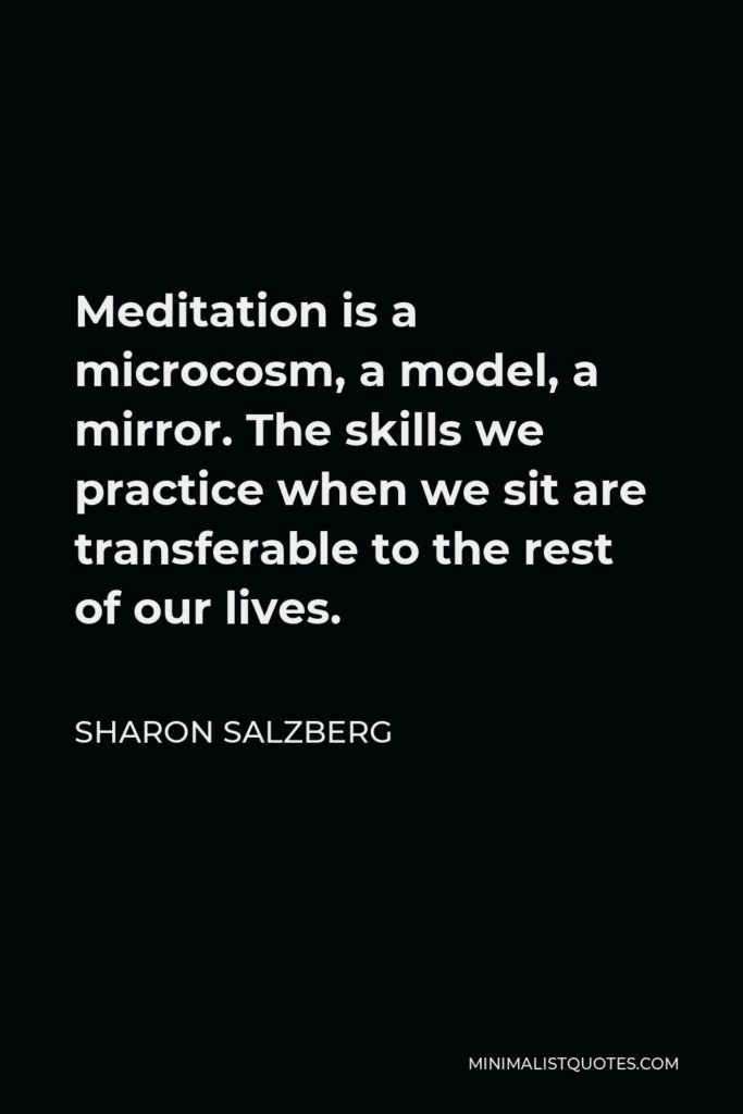 Sharon Salzberg Quote - Meditation is a microcosm, a model, a mirror. The skills we practice when we sit are transferable to the rest of our lives.