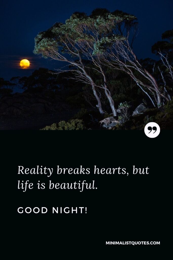 Good Night Quote, Wish & Message With Image: Reality breaks hearts, but life is beautiful. Good night!