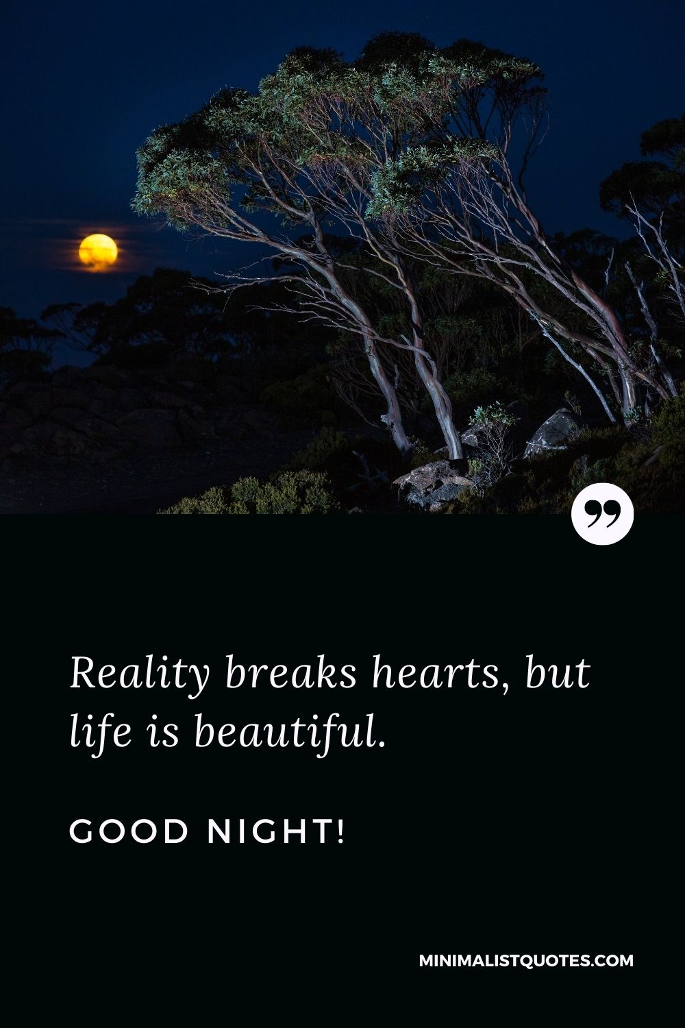Reality breaks hearts, but life is beautiful. Good night!