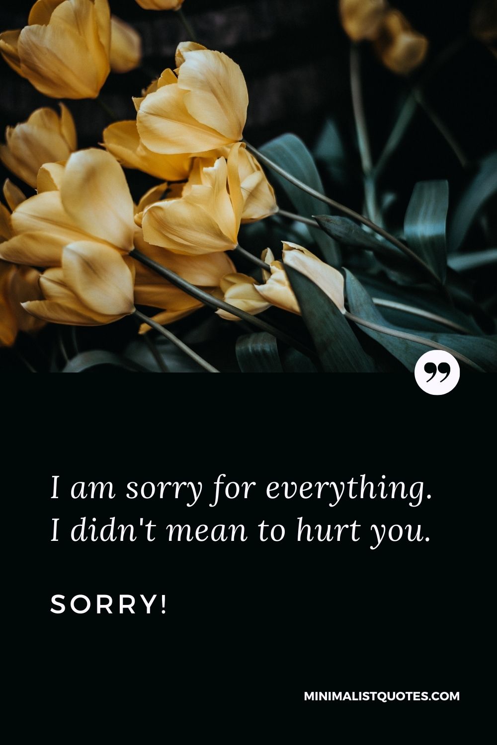 Sorry Quote & message With Image: I am sorry for everything. I didn't mean to hurt you. Sorry!