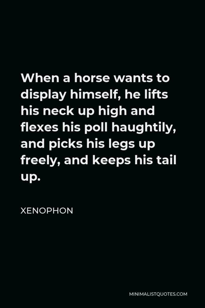 Xenophon Quote - When a horse wants to display himself, he lifts his neck up high and flexes his poll haughtily, and picks his legs up freely, and keeps his tail up.