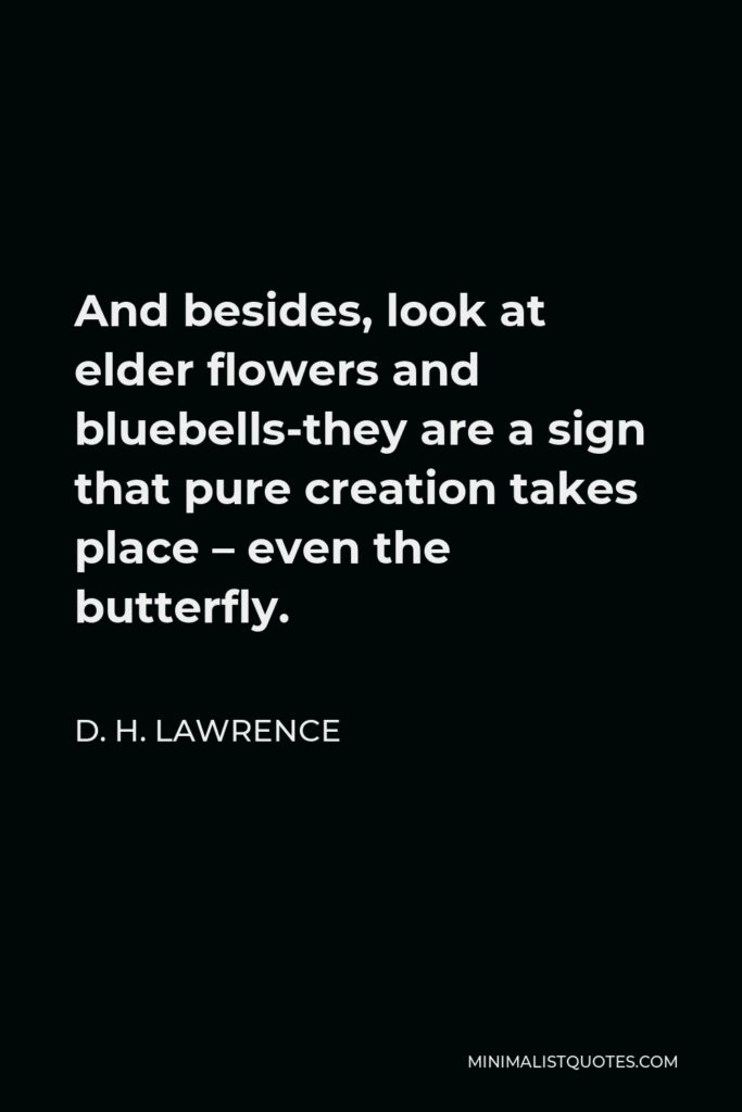 D. H. Lawrence Quote - And besides, look at elder flowers and bluebells-they are a sign that pure creation takes place – even the butterfly.