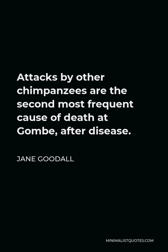 Jane Goodall Quote - Attacks by other chimpanzees are the second most frequent cause of death at Gombe, after disease.