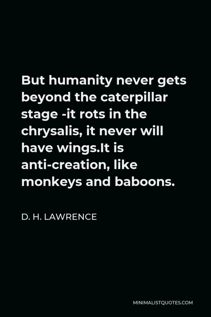 D. H. Lawrence Quote - But humanity never gets beyond the caterpillar stage -it rots in the chrysalis, it never will have wings.It is anti-creation, like monkeys and baboons.
