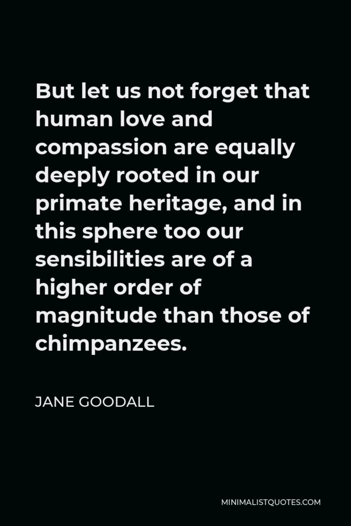 Jane Goodall Quote - But let us not forget that human love and compassion are equally deeply rooted in our primate heritage, and in this sphere too our sensibilities are of a higher order of magnitude than those of chimpanzees.